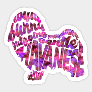 Havanese Sticker